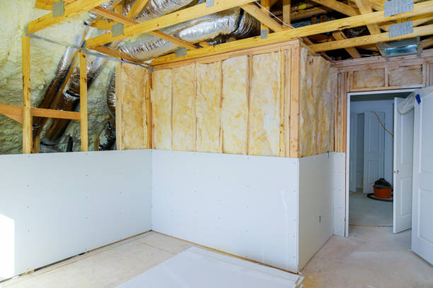 Best Insulation Removal  in Hereford, TX