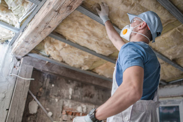 Best Home Insulation Services  in Hereford, TX