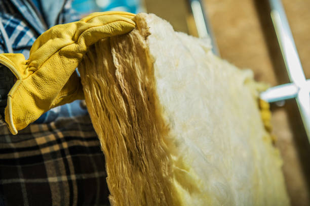 Best Insulation Contractors for Homes  in Hereford, TX