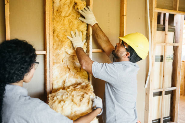 Best Insulation Contractor Near Me  in Hereford, TX